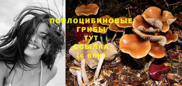 spice Абинск